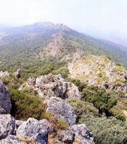 En lo alto de la Sierra de San Pedro.