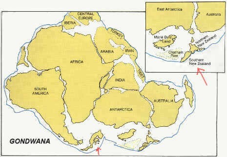 Pangea, el supercontinente original.