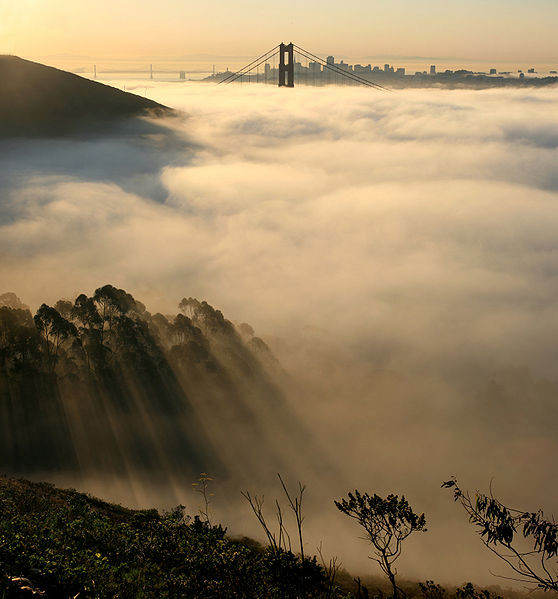 La niebla cae sobre San Francisco.