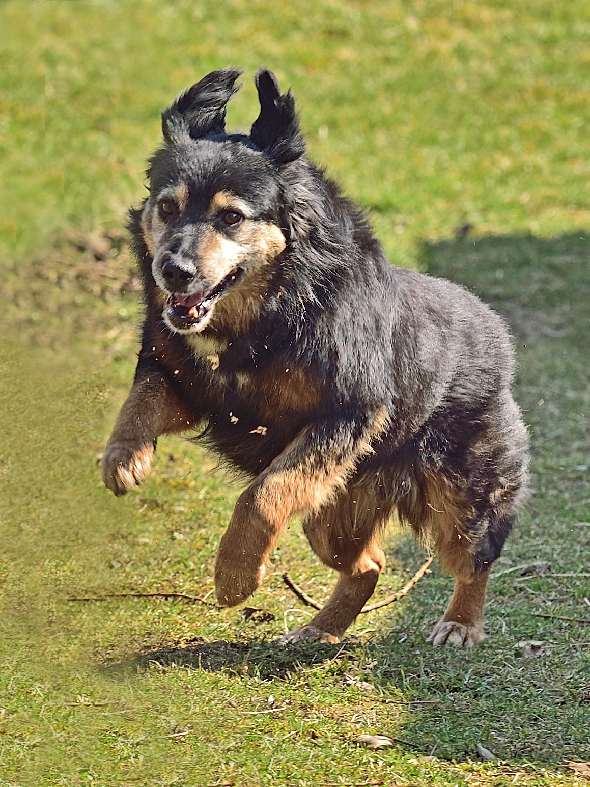 Pauli Model für den Fressnapf Kalender 2021! platonessimages