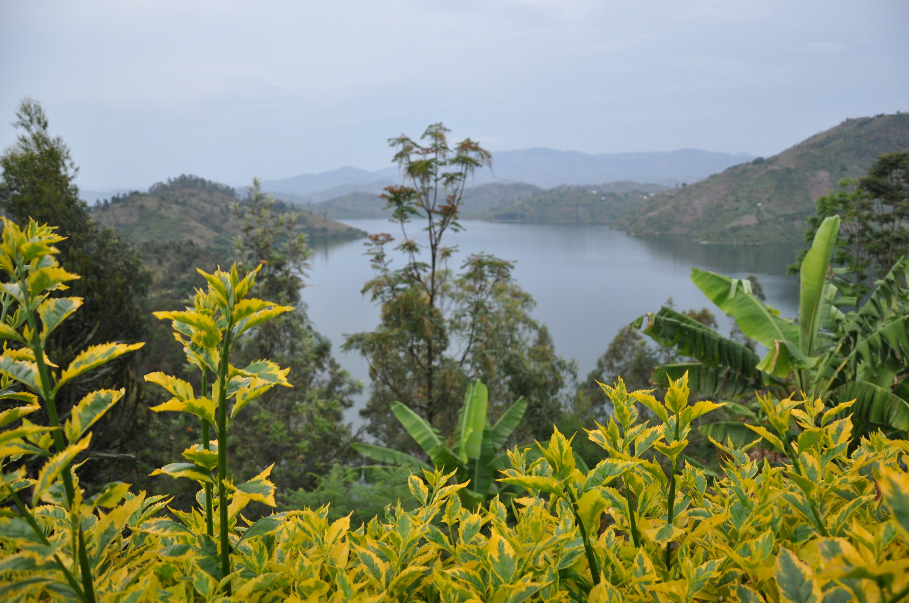 Au loin le magnifique Kivu