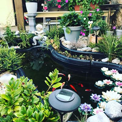 ideas para arreglar el jardin, decoracion de jardin, blog estilo de vida, como arreglar el jardin, ideas decoracion jardin, viviendo en francia,