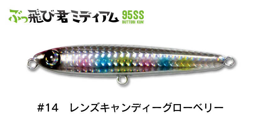 日本最大級 image.jpg ミノー