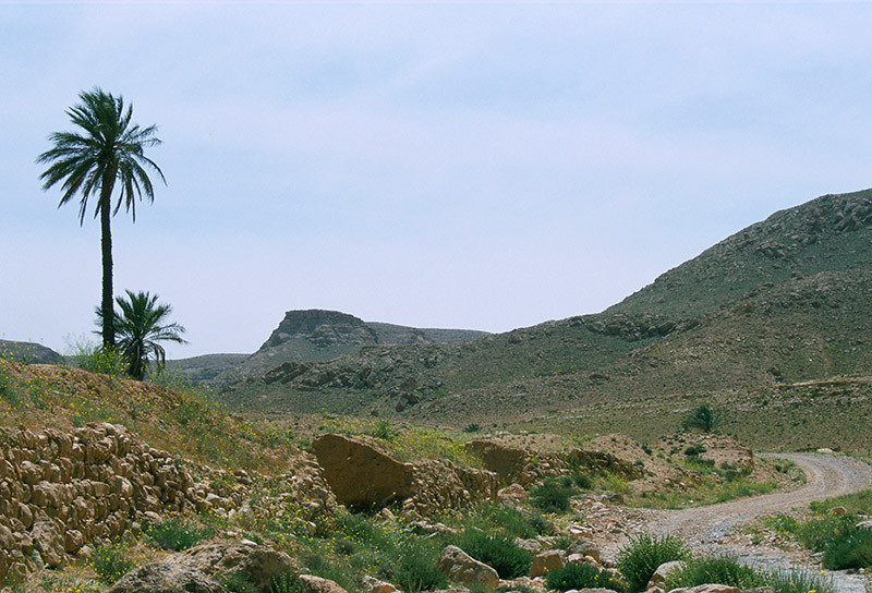 Piste à suivre dans le désert - Tunisie