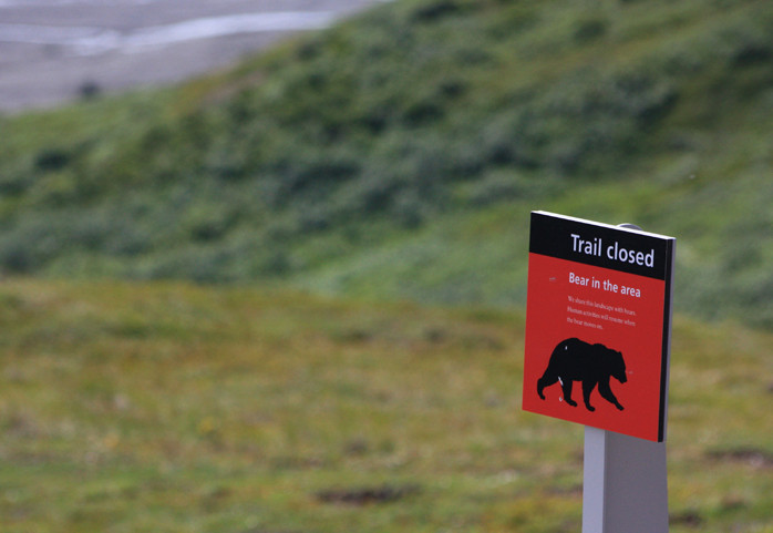 Denali National Park - Vous êtes au pays des ours