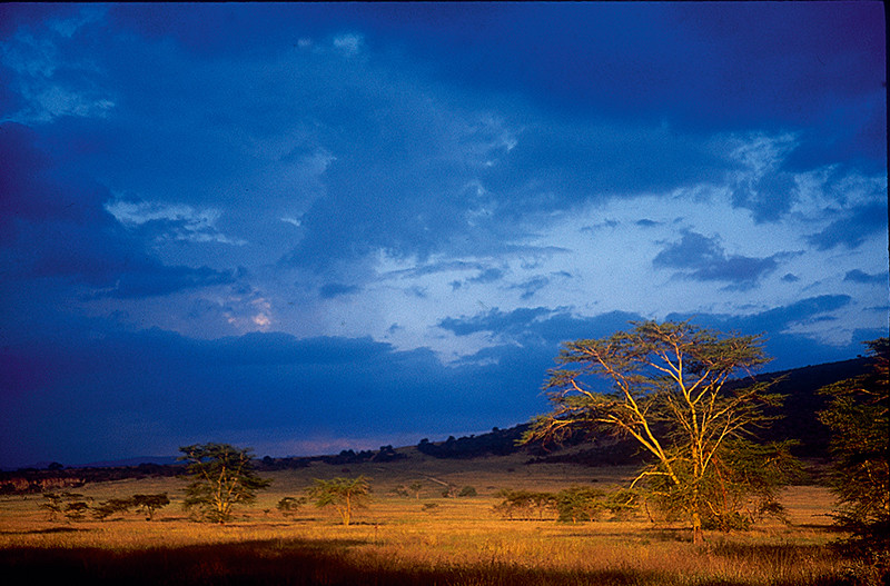 Parc national mara - Kenya