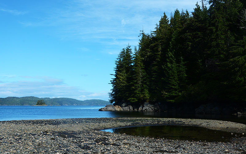 Île de Vancouver - Telegraph Cove