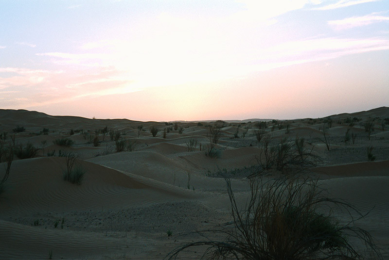 Aube dans le désert