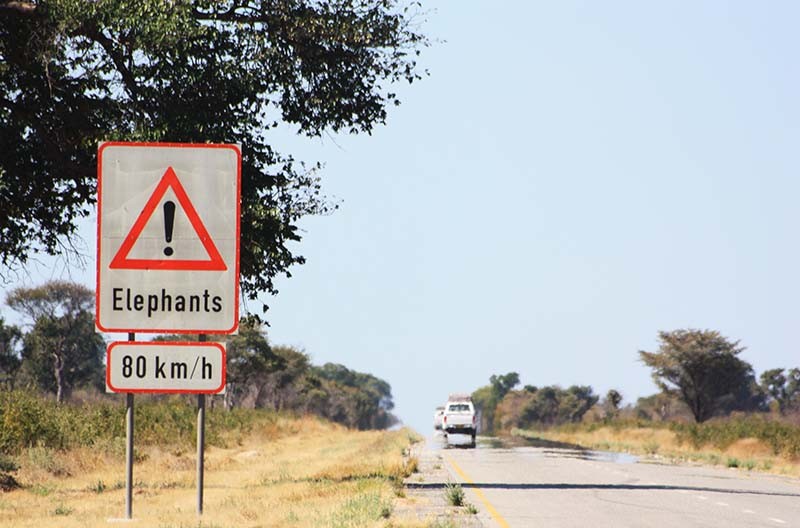 Route au Botswana
