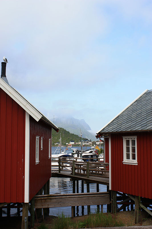 °A - Iles Lofoten - Norvège