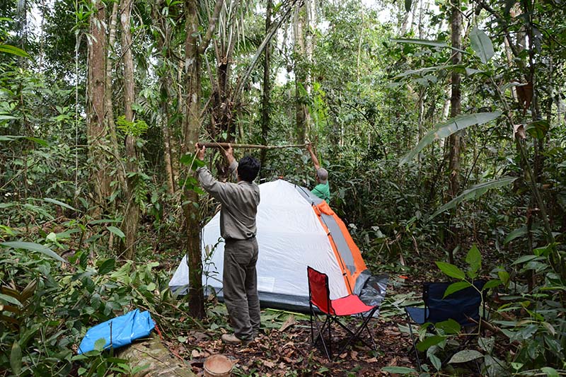 Réserve Pacaya Samiria - Camp dans la jungle