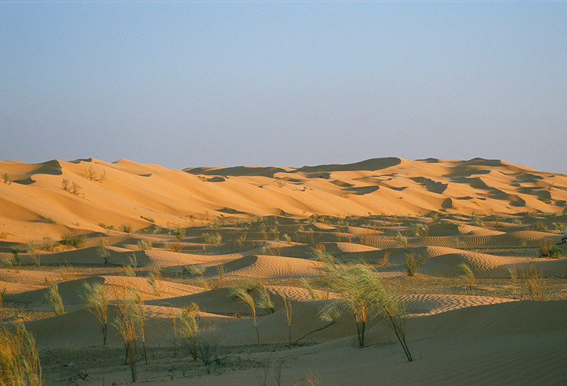 Soleil couchant sur les dunes - Sahara
