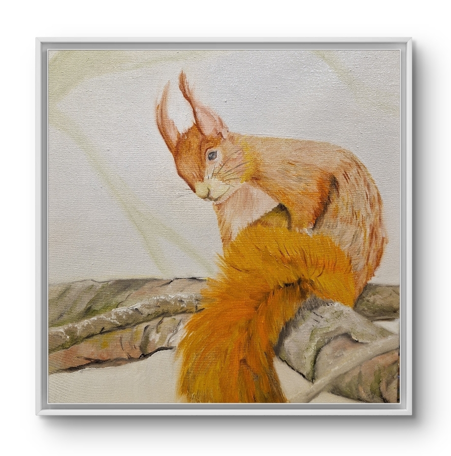 Eichhörnchen
