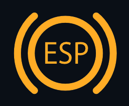 ESP SYSTEM