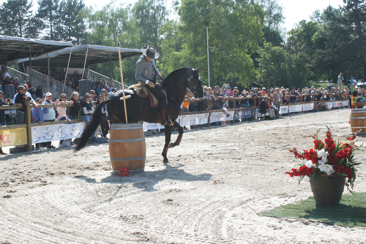 Fotos und Erinnerungen an die WorkingEquitation Weltmeisterschaft 2018