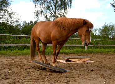 Drehei 125cm Länge x 85cm Breite (20kg)
