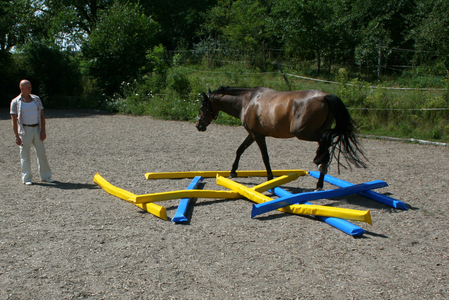 AluPodest mit Holzplatte. Trail, WorkingEquitationEquipment, Horse