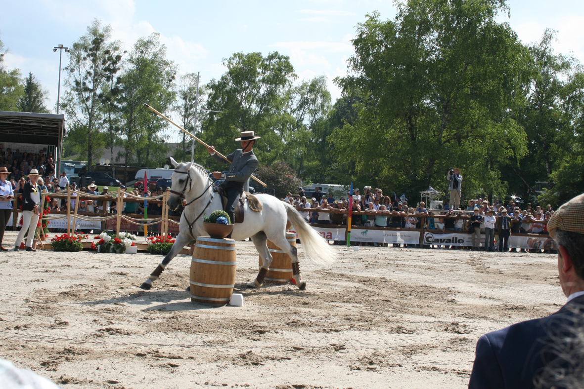 Fotos und Erinnerungen an die WorkingEquitation Weltmeisterschaft 2018