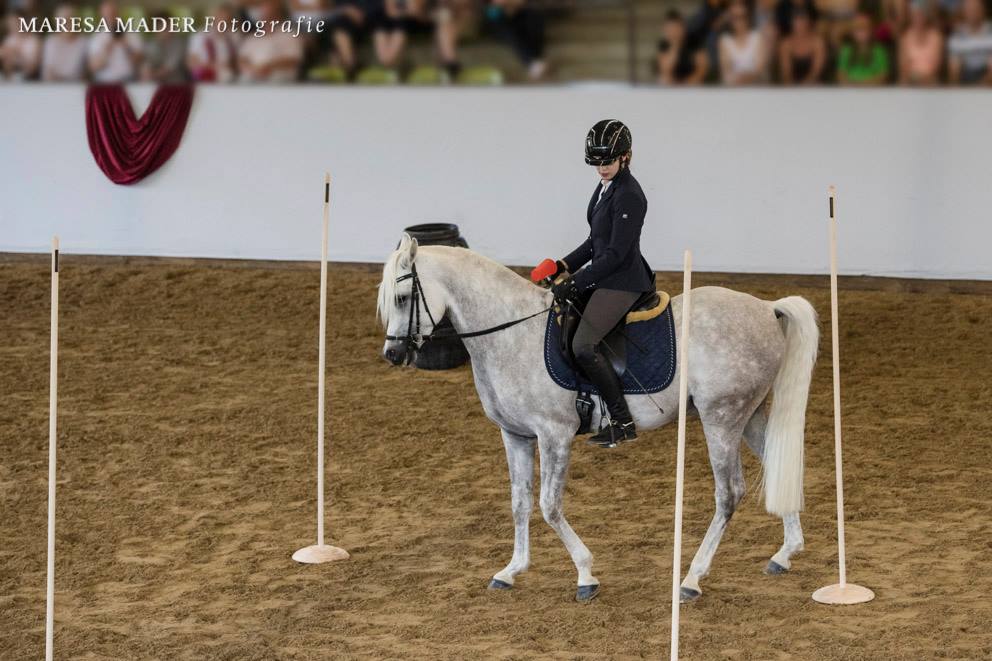 Super schicke Slalomstangen aus CorternStahl , Einzelstücke ! Trail