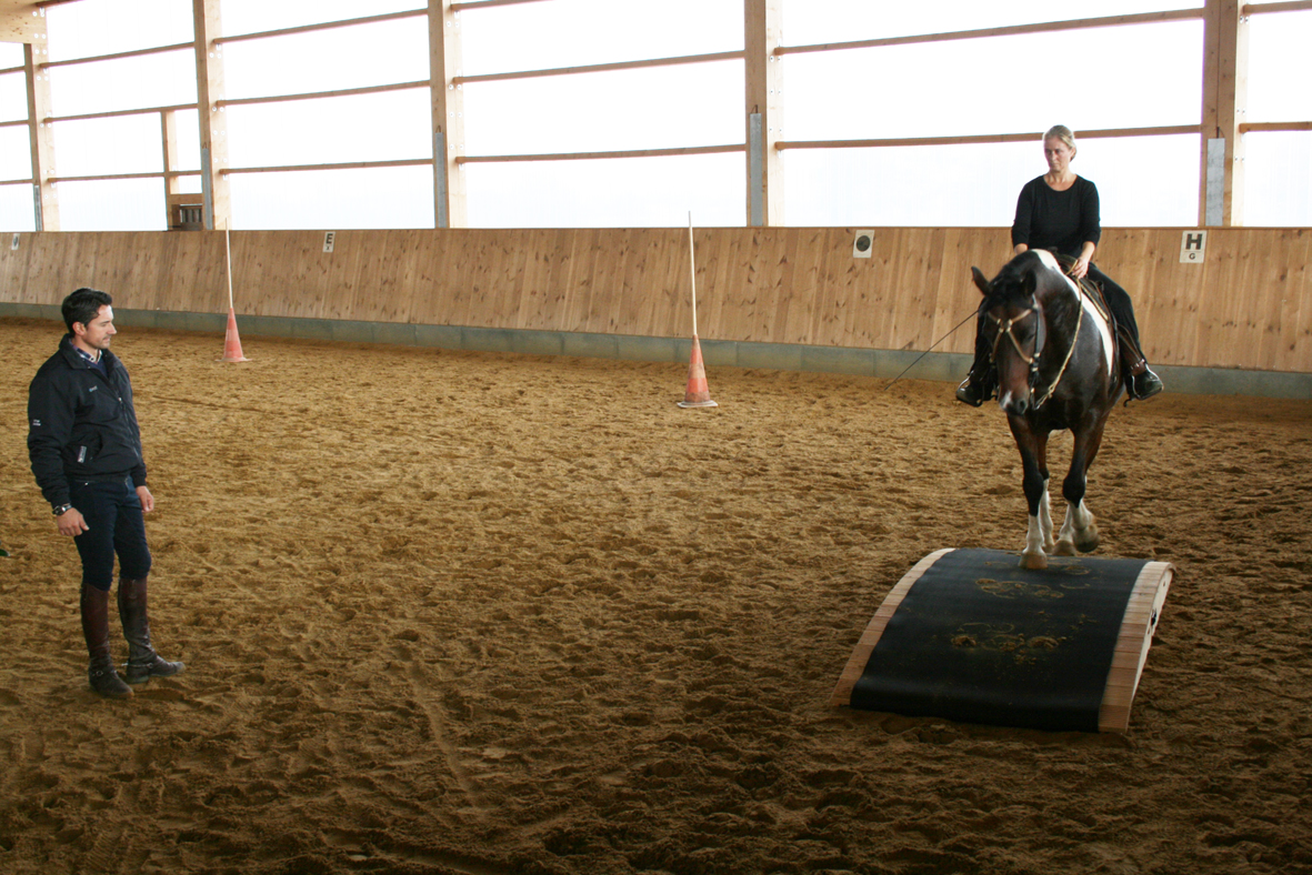 Hier unser WM Parcours 2018 Trail, WorkingEquitationEquipment