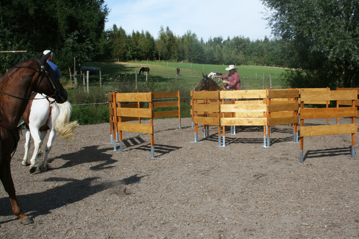 Pferch wie hier aus z.B. Schilfrohrmatten 1m hoch. Trail, Working