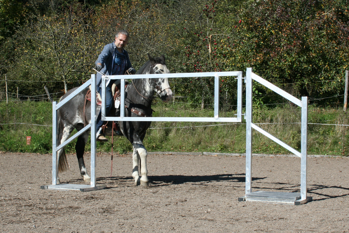 Tor Light. Trail, WorkingEquitationEquipment, HorseAgility,