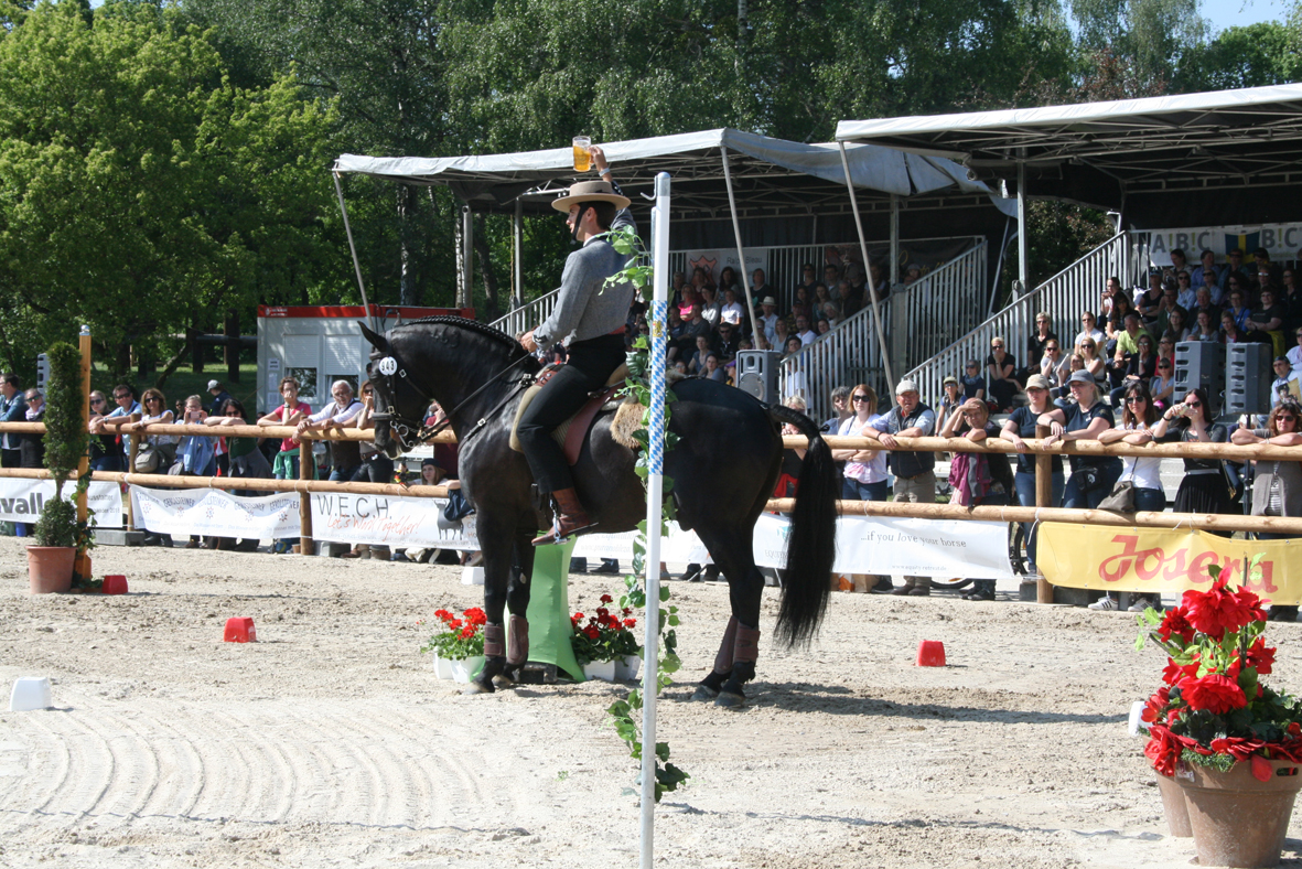 Fotos und Erinnerungen an die WorkingEquitation Weltmeisterschaft 2018