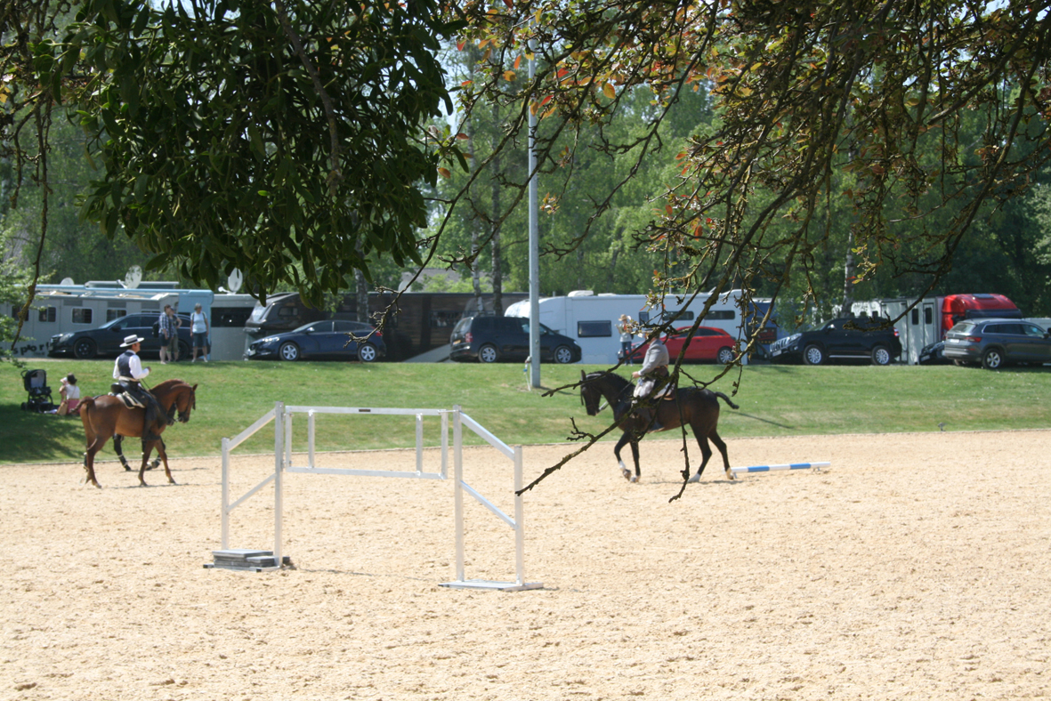 Fotos und Erinnerungen an die WorkingEquitation Weltmeisterschaft 2018