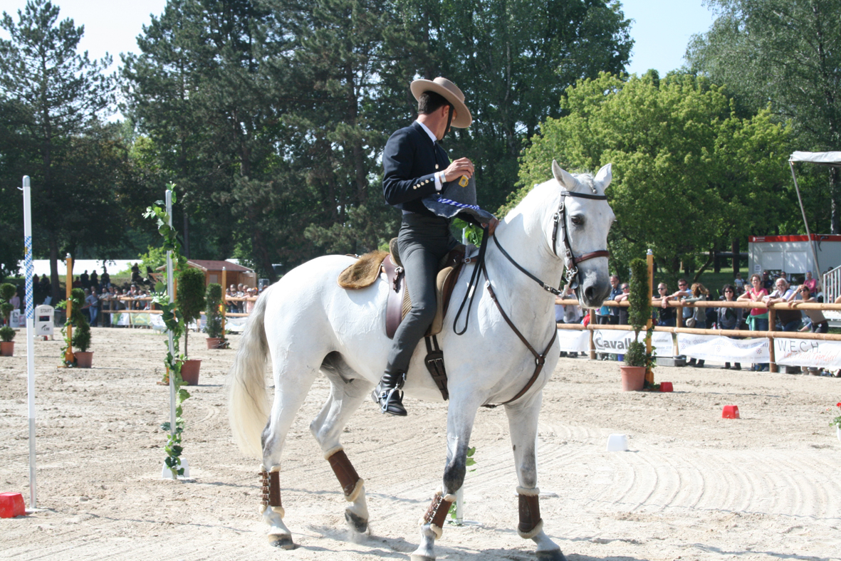 Fotos und Erinnerungen an die WorkingEquitation Weltmeisterschaft 2018