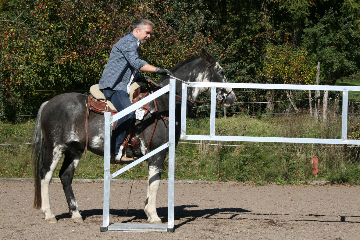 Tor Light. Trail, WorkingEquitationEquipment, HorseAgility,