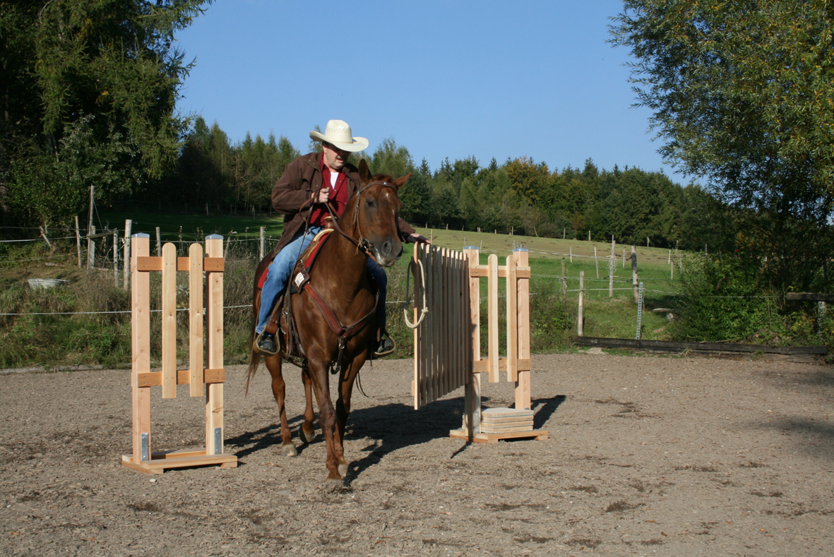 Tor Light. Trail, WorkingEquitationEquipment, HorseAgility,