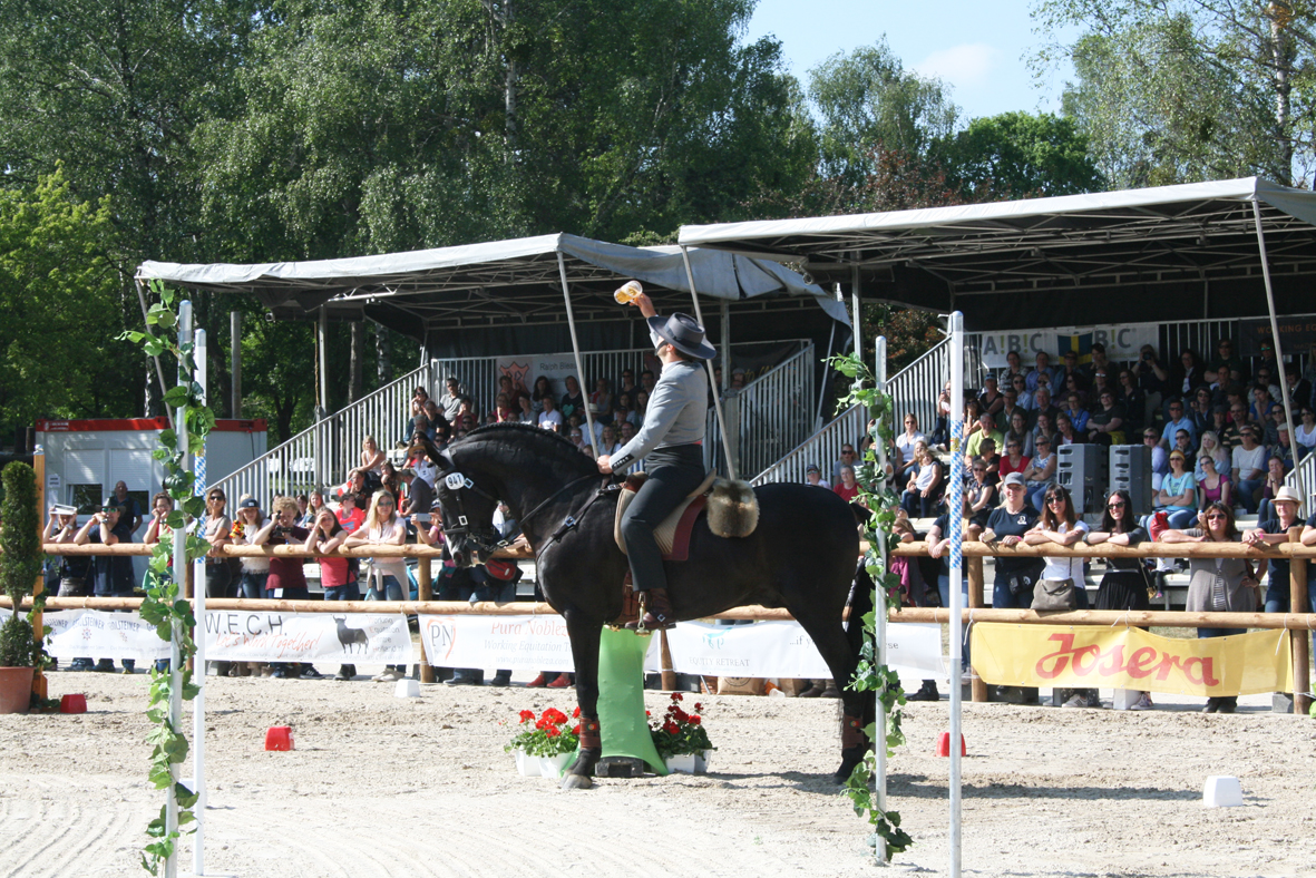 Fotos und Erinnerungen an die WorkingEquitation Weltmeisterschaft 2018