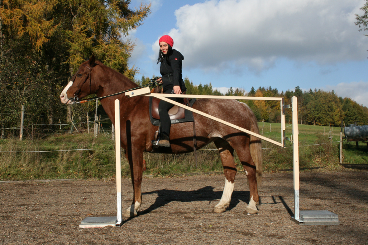 Tor Light. Trail, WorkingEquitationEquipment, HorseAgility,