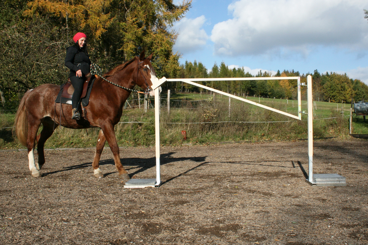 Tor Light. Trail, WorkingEquitationEquipment, HorseAgility,