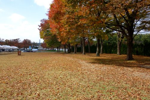 万博ロハス 最終日