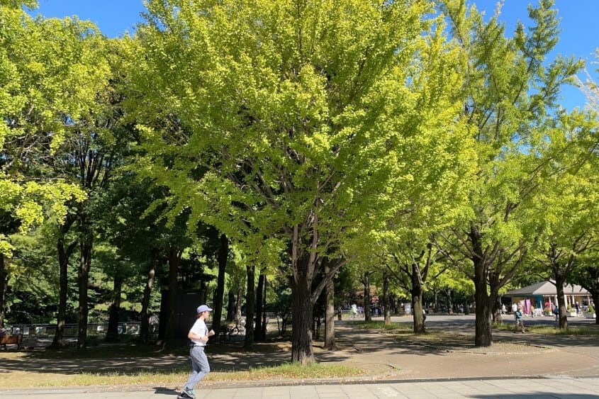 ロハスフェスタ東京、ありがとうございました