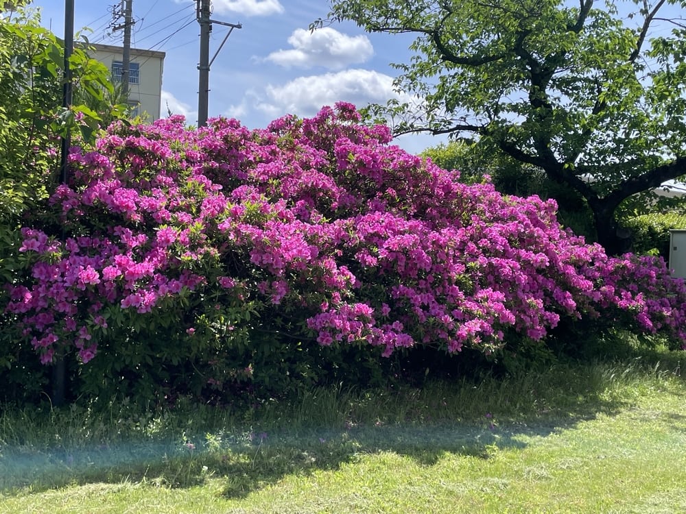 毎日 毎日