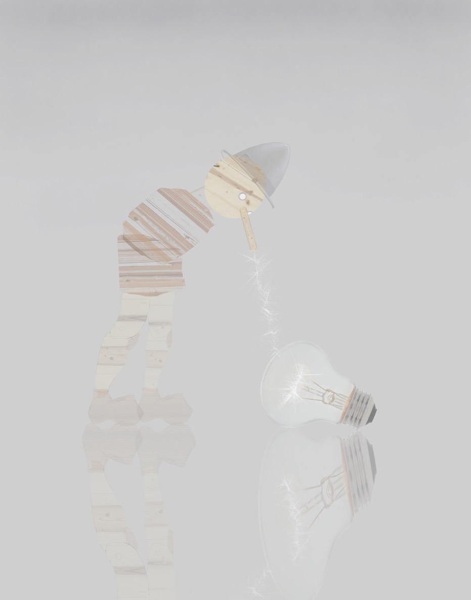 "PINOCCHIO, BULB", 2016, ca. 150x100 cm, Fotodruck.