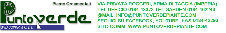 puntoverdepiante.jimdo.com