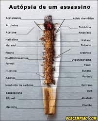 Composição do cigarro