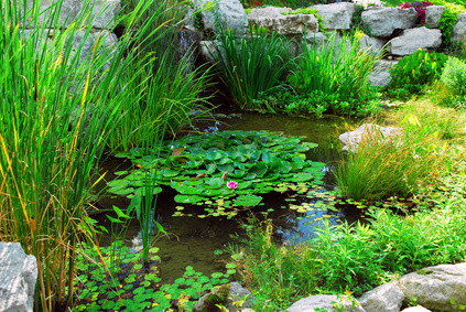 Grun Werk Teichanlagen Grunwerk Gartengestaltung Martin Laimer