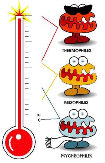Alimenti e HACCP - Batteri e temperatura