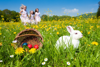 Ostern, Eier, suchen, leipzig, markkleeberg, kees, Park, Cospuden, see, cafe