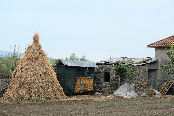 Bauernhof vor der Stadt Shkodar