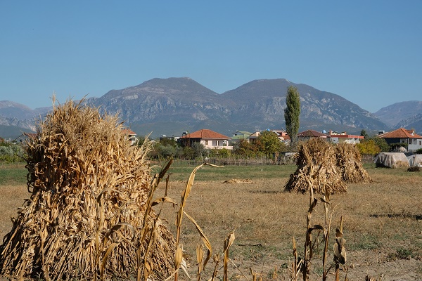 Landwirtschaft im Häusermeer vor Tirano