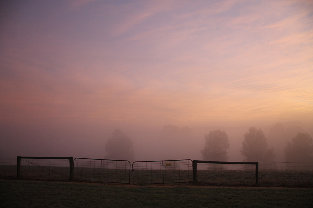 Winter Morning Magic