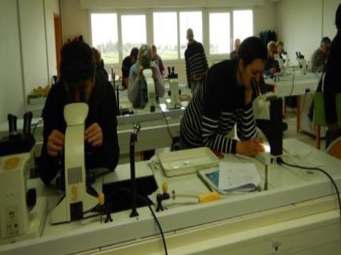 "Environnement-Biologie Subaquatique" : comprendre l'environnement pour le respecter (cours / ateliers / labo)