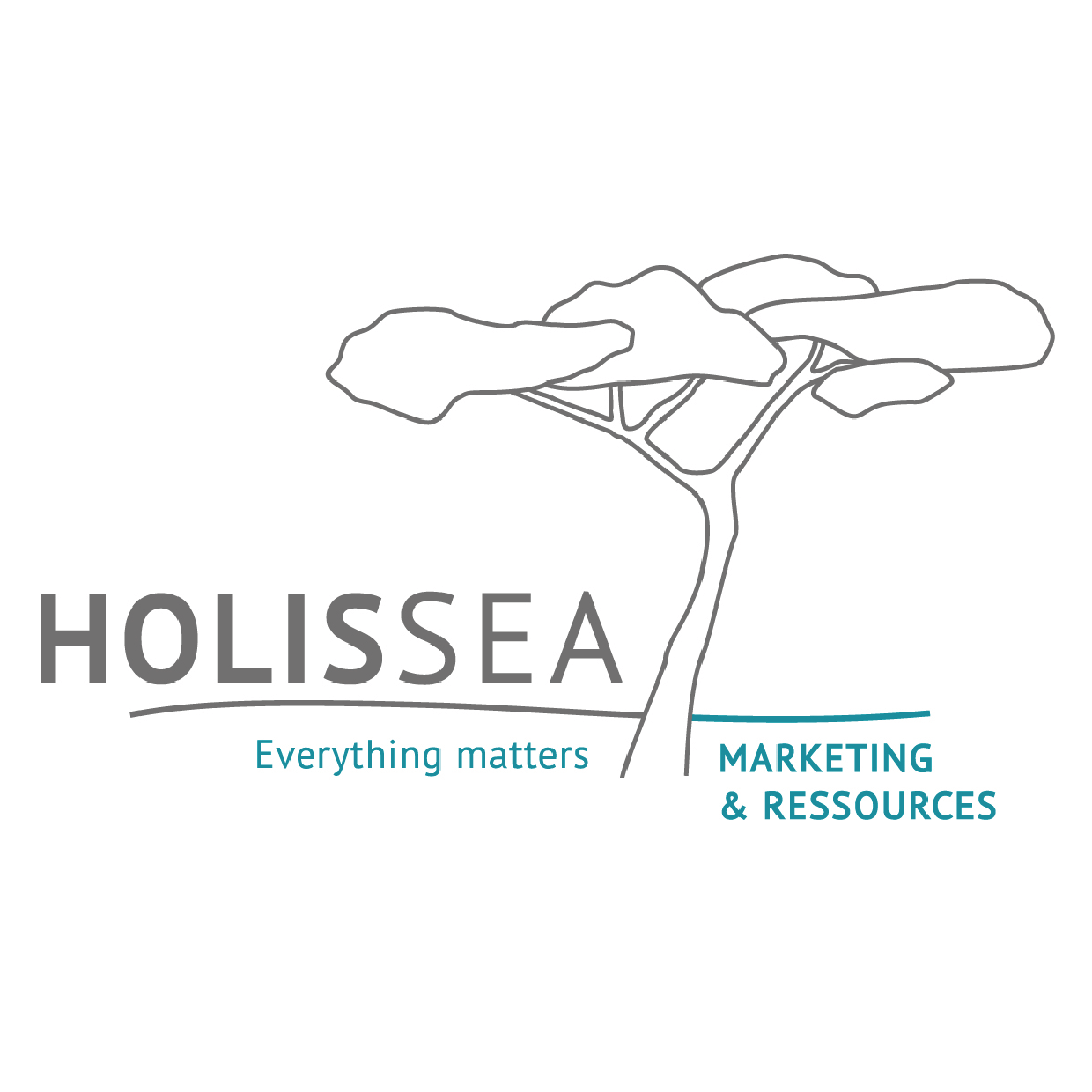 logo Conseils et formations Marketing et ressources HOLISSEA