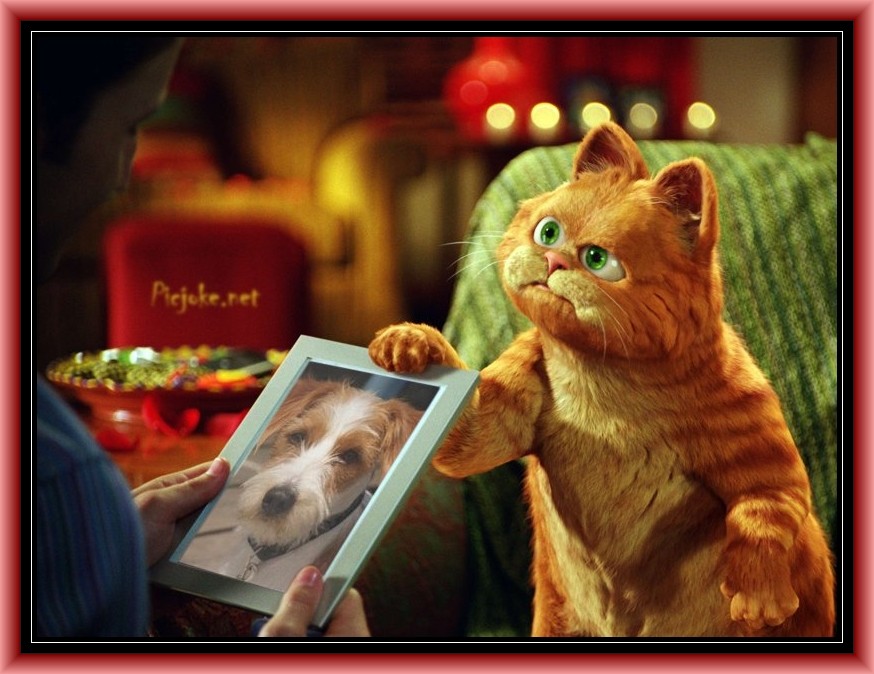 Garfield liebt mich ;-)