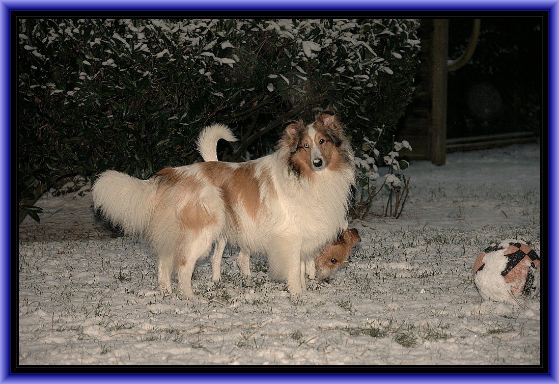 ...... ist das nicht schööööön, es schneit!